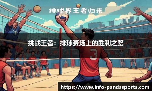 挑战王者：排球赛场上的胜利之路