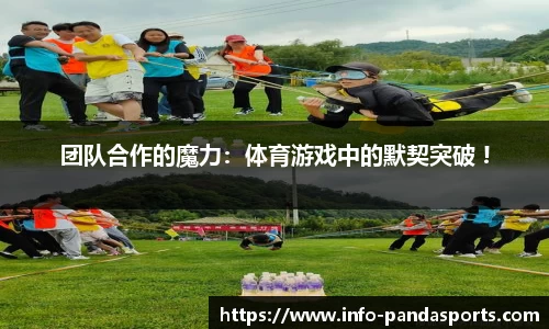 团队合作的魔力：体育游戏中的默契突破 !