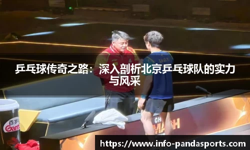 乒乓球传奇之路：深入剖析北京乒乓球队的实力与风采