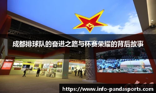 成都排球队的奋进之路与杯赛荣耀的背后故事