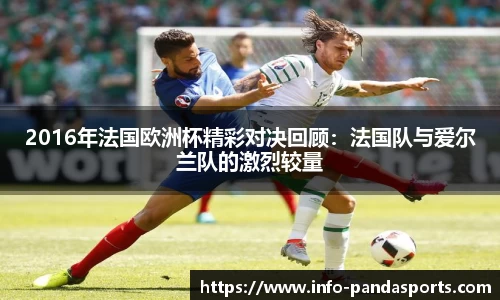 2016年法国欧洲杯精彩对决回顾：法国队与爱尔兰队的激烈较量